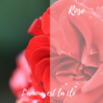 Elixir de Rose