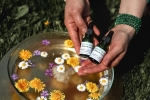 Elixir de pensée