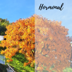 Elixir de Hormonal